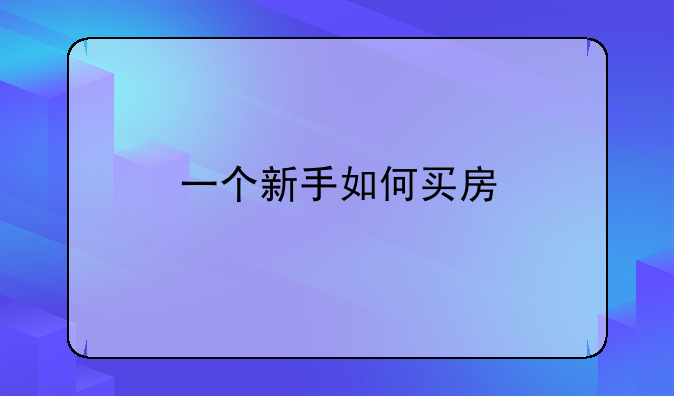一个新手如何买房