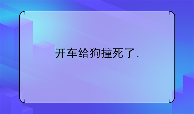 开车给狗撞死了。