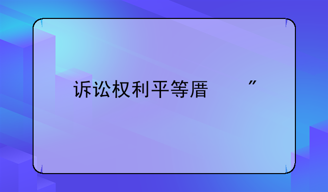 诉讼权利平等原则