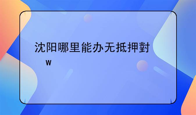 沈阳哪里能办无抵押小额贷款