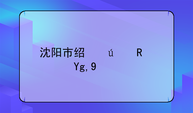 沈阳市经侦支队地址