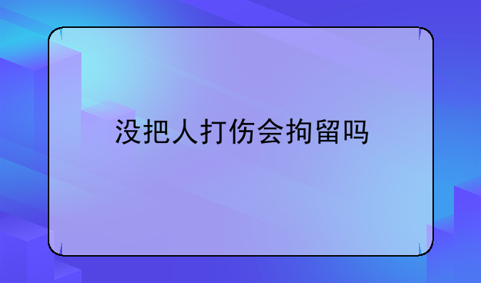 没把人打伤会拘留吗