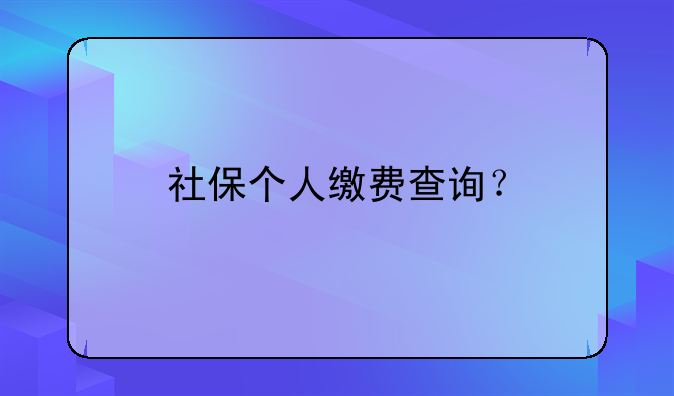 社保个人缴费查询？