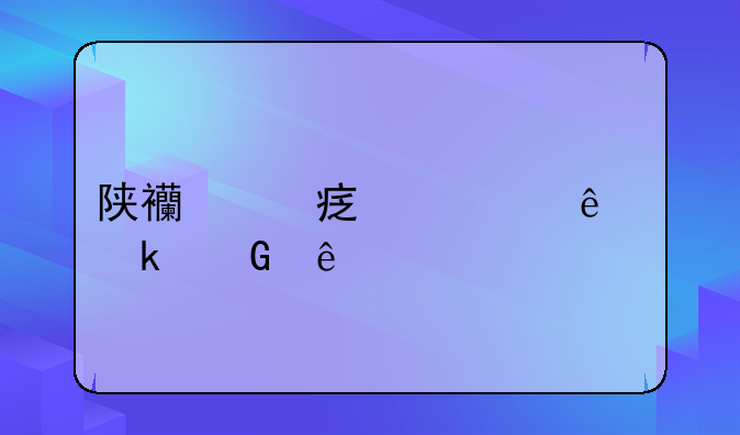 陕西丹宁死了多少人