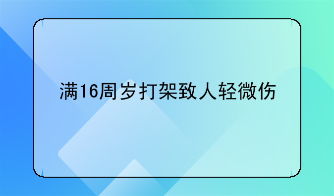 满16周岁打架致人轻微伤