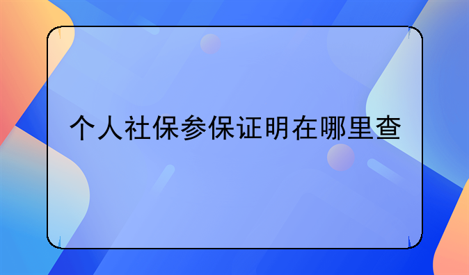 个人社保参保证明在哪里查