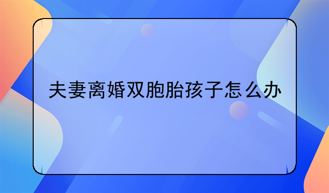 夫妻离婚双胞胎孩子怎么办