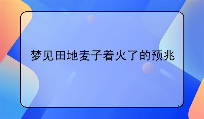 梦见田地麦子着火了的预兆