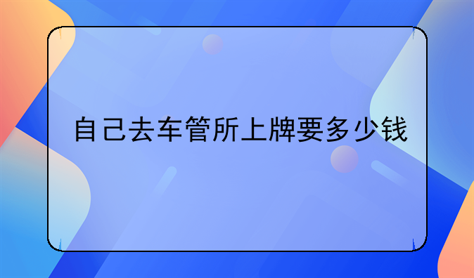 自己去车管所上牌要多少钱