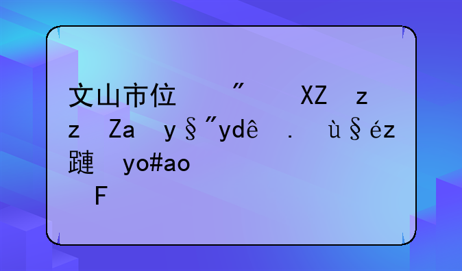 文山市住房公积金有哪些查询方式？求告知