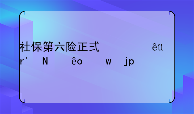 社保第六险正式上线!有哪些保障?