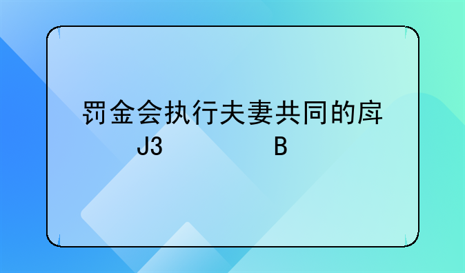 罚金会执行夫妻共同的房产和车吗