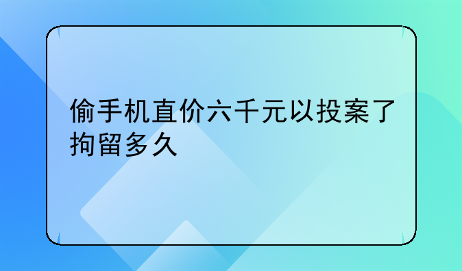 偷手机直价六千元以投案了拘留多久