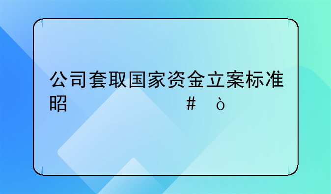 公司套取国家资金立案标准是什么？