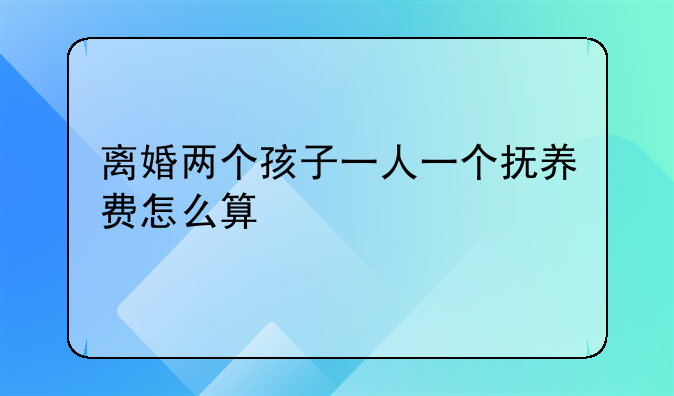 离婚两个孩子一人一个抚养费怎么算
