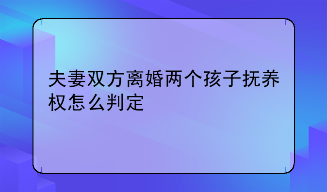 夫妻双方离婚两个孩子抚养权怎么判定