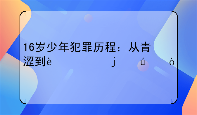 16岁少年犯罪历程：从青涩到迷失的边缘