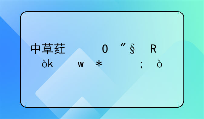 中草药专利申请：保护与传承传统智慧的桥梁
