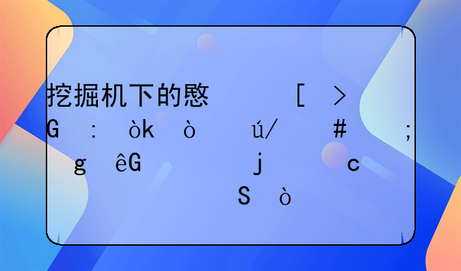 挖掘机下的意外发现：张律师与孙云骁的秘密关联？
