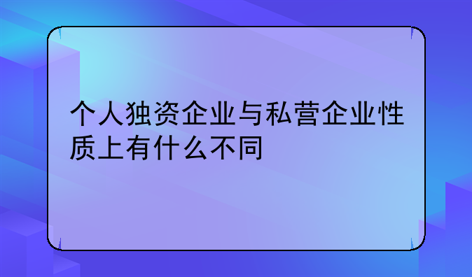 个人独资企业与私营企业性质上有什么不同