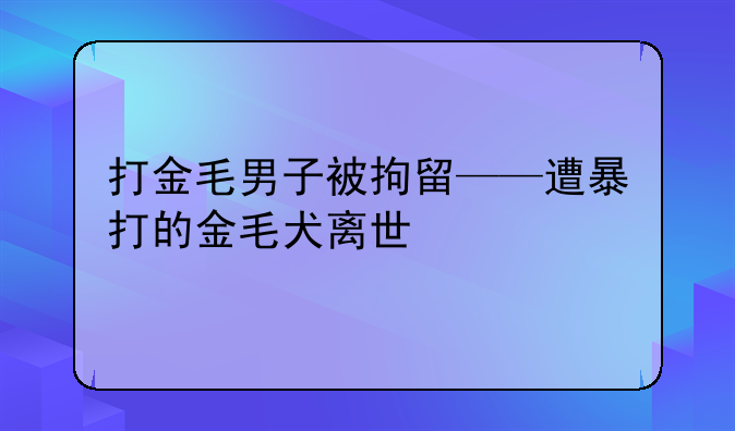 打金毛男子被拘留——遭暴打的金毛犬离世